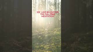 Powerful 15 Minute Grounding Energy Guided Meditation meditation calm peace relaxation chakras [upl. by Verity]