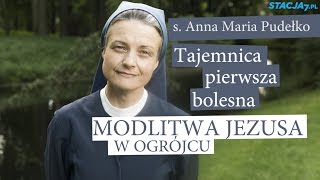 Taka jak Ty  RÓŻANIEC 15 Modlitwa Jezusa w Ogrójcu [upl. by Ravo991]