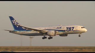 【飛行機】 【着陸】 【美しい夕焼け】 ANA JAL Boeing 【羽田空港】 【つばさ公園】 【離陸】 [upl. by Thin]