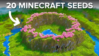 20 Seeds You Must Try in Minecraft 120 [upl. by Eidas775]