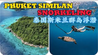 泰国普吉斯米兰群岛浮潜Thailand Phuket Similan Islands Snorkeling [upl. by Tharp865]