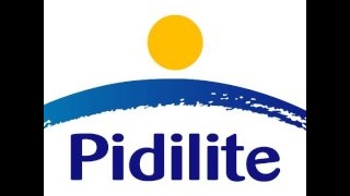 Pidilite  Interview Questions and Useful Tips [upl. by Kincaid131]