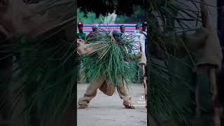 Casamance 🌲 buzz dance senegal ma culture casamance africa europe [upl. by Edahsalof61]