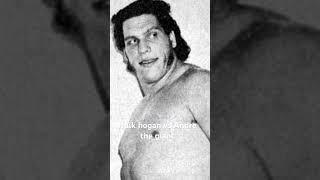 Hulk hogan cat Andre the giant good edit shorts [upl. by Pernas]