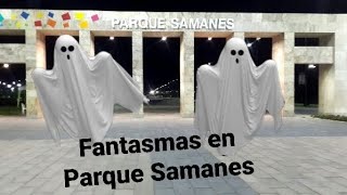 atención  ¿FANTASMAS EN EL PARQUE SAMANES DE GUAYAQUIL ElCambio suscribete [upl. by Perreault]