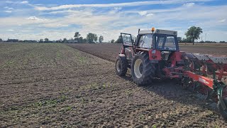 🔥Klimatyczna orka pod pszenicę 2024🔥Zetor 10145 vs Kverneland LD100🔥 [upl. by Leiad121]