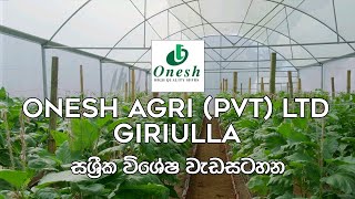 ගිරිඋල්ල Onesh Agro PVT Ltd පටිගත කරන ලද සශ්‍රීක වැඩසටහන 👨‍🌾🚜🌾  සශ්‍රීක  Shashrika  EP01 [upl. by Neelrad]