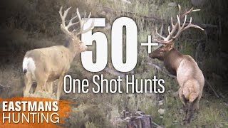 Best One Shot Kills  50 Rifle and Bow Hunts with Eastmans Hunting Journals [upl. by Nwahsek]