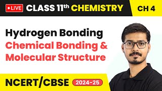 Hydrogen Bonding  Chemical Bonding and Molecular Structure  Class 11 Chemistry Chapter 4  live [upl. by Standing]