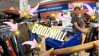 The Goodwill shelves were stocked reseller newvideo [upl. by Armilla]