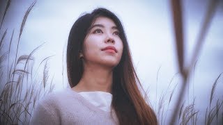 Korea Cinematic  Panasonic VariCam Cinematic 4K [upl. by Solly]