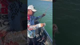 El RULE charales es su nuevo apodo viralvideo fishing boat shorts capturaylibera [upl. by Biancha602]