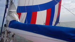 Wow the spinnaker fills and the boat speed jumps up [upl. by Mendez696]