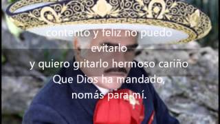 Hermoso cariño Vicente Fernandez con letra [upl. by Kylen]