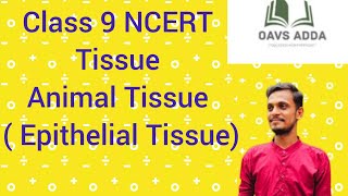 Tissue Class 9 NCERT I Epithelial Tissue I CBSE I OAVS l Science [upl. by Arihas]