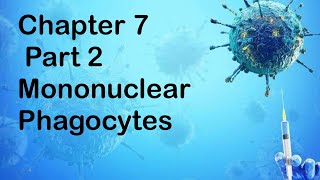 Chapter 7  Part 2 Mononuclear Phagocyte in immune defence [upl. by Idnas463]