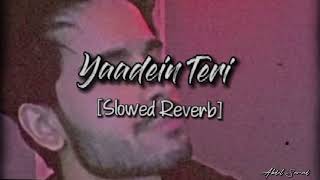 Mubeen Butt  Yaadein Teri  Slowed amp Reverb [upl. by Winifield851]