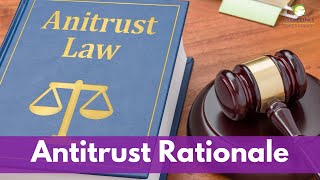 Economic Rationale for Antitrust Laws [upl. by Aikem]