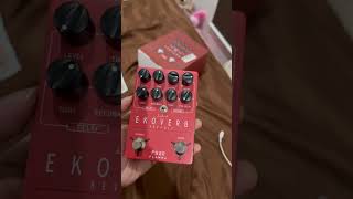 Flamma reverb delay [upl. by Cammie]