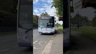 Maldon bus arriving  Maldon  Claremont Garden trip  051024 [upl. by Rip]