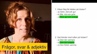 Träna frågor svar och adjektiv How to learn swedish [upl. by Hardan]