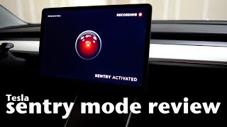 Tesla Sentry Mode Review and More [upl. by Bolten]