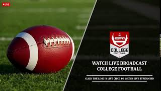 Stetson vs St Thomas MN Live Stream  College Fotball 2024 [upl. by Winfield463]