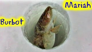 FINALLY Caugh a BURBOT  Mariah Saskatchewan Canada  Febr [upl. by Ty]