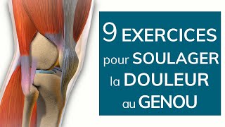 9 exercices pour soulager la douleur au genou [upl. by Joela]