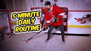 5 Minute DAILY Stickhandling Routine [upl. by Blakelee367]