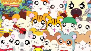 Hamtaro ham ham friends  sigla completa [upl. by Edee132]