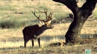 Tesoros del Sur otoñá El otoño en Andalucía [upl. by Aydne620]