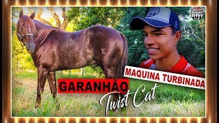 Maquina Turbinada Garanhão Twist Cat [upl. by Shien]