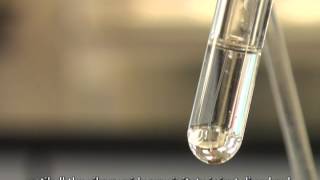 Using Tollens Reagent to Test for Aldehydes Silver Mirror Test [upl. by Eetnwahs]