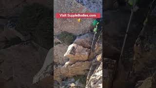 Terrifying Loose Rocks in Mountain Climbing 😱 Near Disaster Caught on Camera shorts rockclimbing [upl. by Solorac]