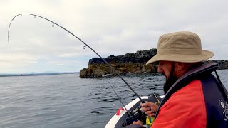 Pollock  Coalfish amp Cod  Soft Plastic Fishing  The Farne Islands  SiB Fishing UK [upl. by Eidnalem235]