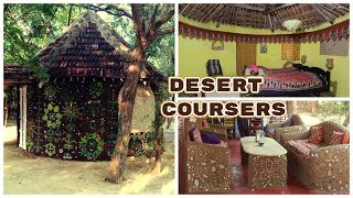 Desert Coursers for Real Kutch Experience [upl. by Mall]