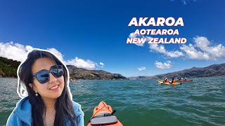 Akaroa Kayaking and Kaikōura Kahawai Catch and Cook [upl. by Eteragram]