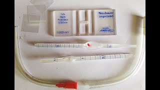 Haemocytometer Practical Lab [upl. by Leila]