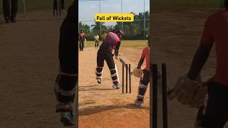 Fall of Wickets cricketforyoupageshortstrendingtopcricketfansviralceicketlover [upl. by Enelyar376]