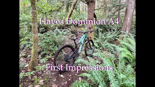 Hayes Dominion A4 First Ride Impressions [upl. by Akvir452]