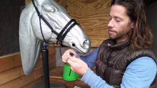 Ultimate Bitless Bridle UBB  How to put on and Adjust the UBB [upl. by Pentha893]