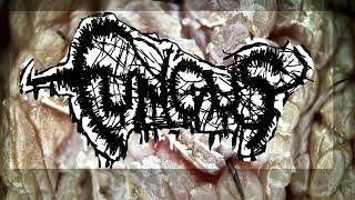 mincecore FUNGUS  VORACIOUS PRURITUS IN NECROTIC HARMONY DEMO MINCECORE 2024 GRINDCORE [upl. by Nnaylrebmik]