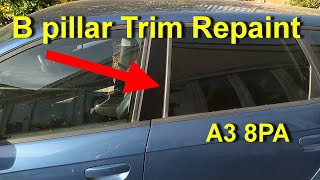 B Pillar Trim Removal and Repaint  A3 Sportback 8PA [upl. by Accebor]