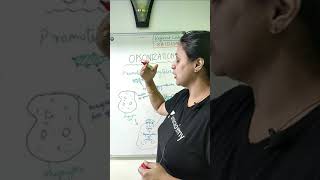 Opsonization  Concept in 1 min with khushboo shortsunacademylivecsir csirnet2021 [upl. by Chrisman]