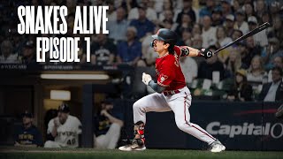 Snakes Alive  Episode 1  An Arizona Diamondbacks 2023 Postseason Documentary [upl. by Engeddi]