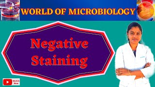 Negative Staining  Bacterial Capsule Staining Tamil  Microbiology Practical  Topic 8 [upl. by Joselow]