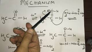 Addition Elimination Reactions of Aldehydes By Dr Manu Kaushal [upl. by Rojam]