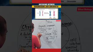 Chromosome Vs Chromatids neet2025 nursing cell [upl. by Noryahs]