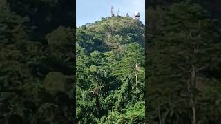 Beautifull virgin forest of mount Sungay tagaytay Philippines [upl. by Elbon743]